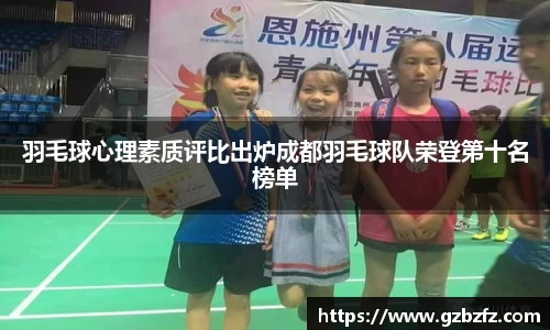 羽毛球心理素质评比出炉成都羽毛球队荣登第十名榜单